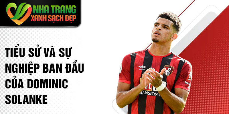 Tiểu sử và sự nghiệp ban đầu của Dominic Solanke