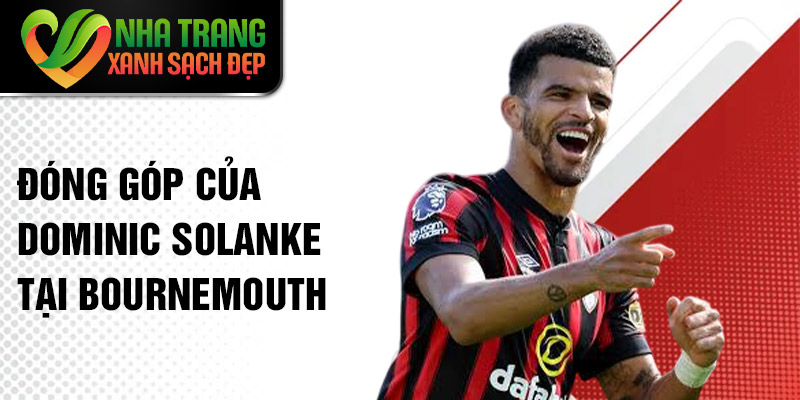 Đóng góp của Dominic Solanke tại Bournemouth